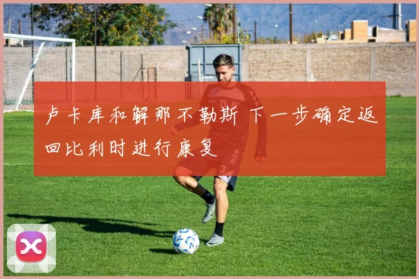 卢卡库和解那不勒斯 下一步确定返回比利时进行康复